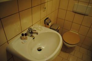 La salle de bains est pourvue d'un lavabo et de toilettes. dans l'établissement Pension Adolfshaide, à Wurzbach