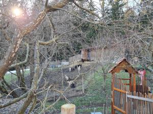 Zahrada ubytování Ferienhaus Grabenhansl