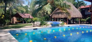 a swimming pool with yellow balls in a resort at Rancho Alegre in Pacora