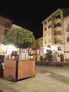 a tree in front of a building at night at Juderia in Teruel
