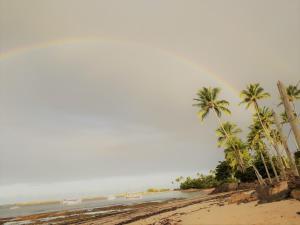 ชายหาดของอพาร์ตเมนต์หรือชายหาดที่อยู่ใกล้ ๆ