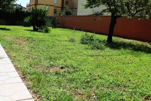 een grasveld met een boom en een gebouw bij Camera confortevole tra Roma e Ostia in Acilia