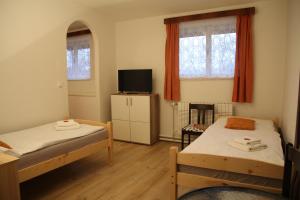 Giường trong phòng chung tại Penzion Alfa Poděbrady