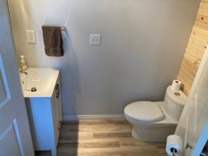 a bathroom with a toilet and a sink at Pebble Springs BnB in Grand Beach