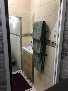 a bathroom with a sink and a shower with green towels at Chambre D'hôte Villa Maurice in Étretat