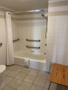 Sonesta Essential Houston Hobby Airport tesisinde bir banyo