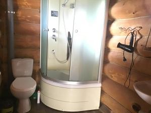 a bathroom with a shower with a toilet and a sink at Villa Carpathian Aura in Skhidnitsa