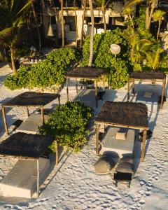 Zahrada ubytování NEST Tulum