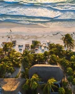 an aerial view of the beach and the ocean at NEST Tulum in Tulum