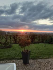 a plant in a pot with the sunset in the background at Chambre d'hôtes de la Galie in Sainte-Marie-du-Mont