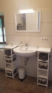 a bathroom with a sink and a mirror and shelves at Ferienwohnung-Zum-Malerweg in Pirna