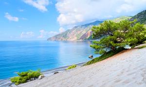 a beach with a tree and a body of water w obiekcie Grand View Villa Private Heated Pool w mieście Georgioupoli