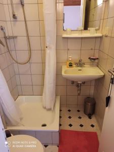 un piccolo bagno con lavandino e doccia di Studio in Nin/Zadar Riviera 8216 a Nin