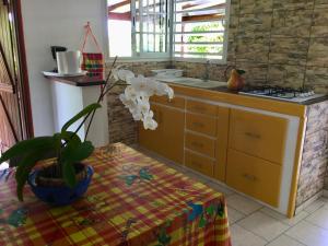 a kitchen with a table with a plant on it at chez Jocelyne prés des sources chaudes in Bouillante