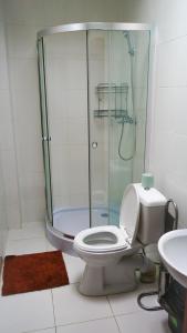 a bathroom with a toilet and a shower stall at City Hostel Panorama in Uzhhorod