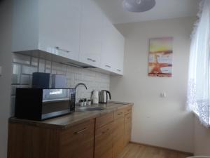 Virtuvė arba virtuvėlė apgyvendinimo įstaigoje Apartament Bursztynowy