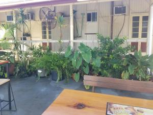 a bench in front of a building with plants at Bluff Hotel in Bluff