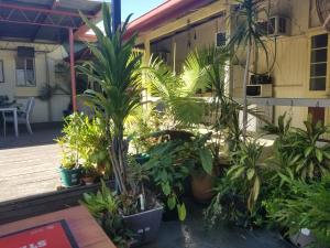 a bunch of plants in front of a building at Bluff Hotel in Bluff