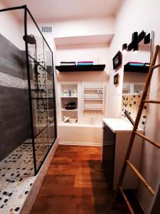 een badkamer met een inloopdouche en een wastafel bij Les Clefs de la Liberté in Colmar