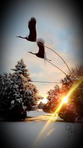 BresewitzにあるEiscafe&Pension Schumannのギャラリーの写真