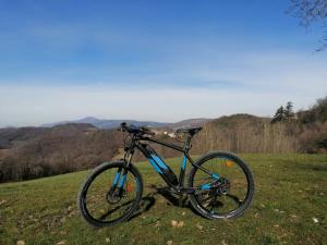 a bike parked on the grass in a field at Il Castagneto in Camerino