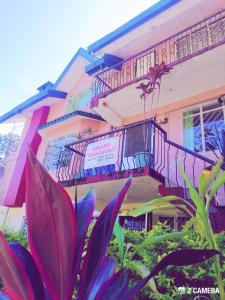 um edifício cor-de-rosa com uma varanda e algumas plantas em Amara Transient House em Baguio