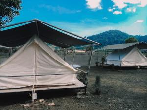 twee tenten in een veld met bergen op de achtergrond bij Thara Hidden Camp in Khao Kho