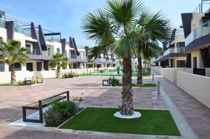 eine Palme mitten im Innenhof in der Unterkunft Higuericas Beach Apartment in Pilar de la Horadada