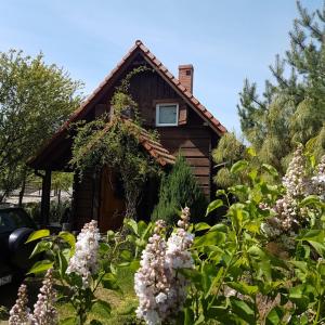 Ogród w obiekcie Jeżynowy Domek - Sulistrowice