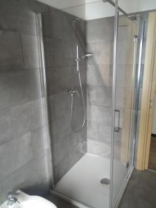 a shower with a glass door next to a sink at Greuth Hutte in Tarvisio