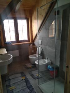 Koupelna v ubytování Greuth Hutte