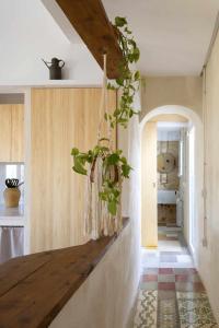 a kitchen with a plant hanging from a wall at Villa Serrano La casa rural de los mil suelos in Valencia