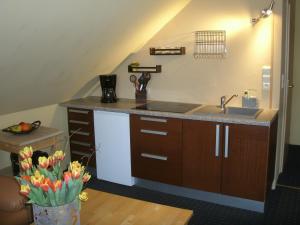 eine Küche mit einer Spüle und einer Arbeitsplatte in der Unterkunft Apartment An der Büdnerei in Graal-Müritz