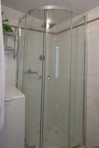 y baño con ducha y puerta de cristal. en Arcobaleno Toscano, en Pescia