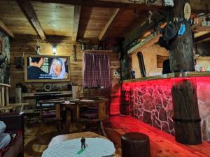 Televiisor ja/või meelelahutuskeskus majutusasutuses Vikendica MILA