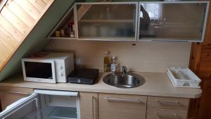 a small kitchen with a sink and a microwave at Aare kodumajutus in Tammiku