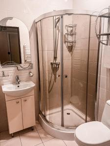 La salle de bains est pourvue d'une douche, d'un lavabo et de toilettes. dans l'établissement Kamyanka, à Mijgiria