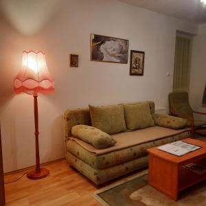 sala de estar con sofá y lámpara en Apartment Golf, en Bük