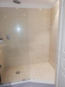 W łazience znajduje się prysznic ze szklanymi drzwiami. w obiekcie Appart Alexina, 2mn à pieds de la plage de BOUCAN-CANOT w mieście Saint-Gilles les Bains