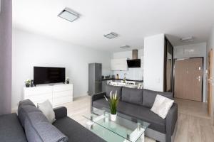 salon z kanapą i telewizorem w obiekcie Apartament 5k Szczecin w Szczecinie