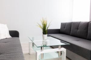 Część wypoczynkowa w obiekcie Apartament 5k Szczecin