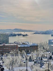 a view of a city with snow covered trees and buildings at Golden Bridge View Apt in Vladivostok