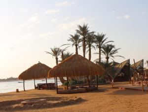 a beach with some straw umbrellas and palm trees at Nuweiba Club Resort in Nuweiba