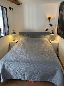 a bed in a room with two lamps on tables at Cosy grand Studio in Roquebrune-sur-Argens