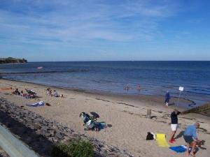 eine Gruppe von Menschen an einem Strand in der Nähe des Wassers in der Unterkunft Zur-alten-Schmiede-II (Wohnung oben) in Boltenhagen