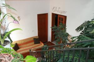 Ogród w obiekcie La Palma Hostel by Pension Central