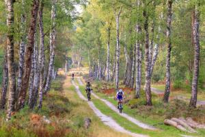 Hosté ubytování Chalet Op De Veluwe # Linde