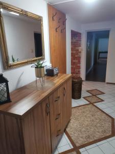 Kuchyň nebo kuchyňský kout v ubytování Apartmán Ústie