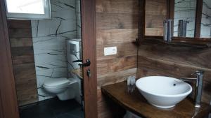 a bathroom with a sink and a toilet at Вила Перуле Villa Perule - Handmade cozy wooden villa in the Rhodope mountain in Shumnatitsa