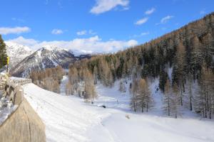 a snow covered slope with trees and a mountain at Baita Luleta in Livigno